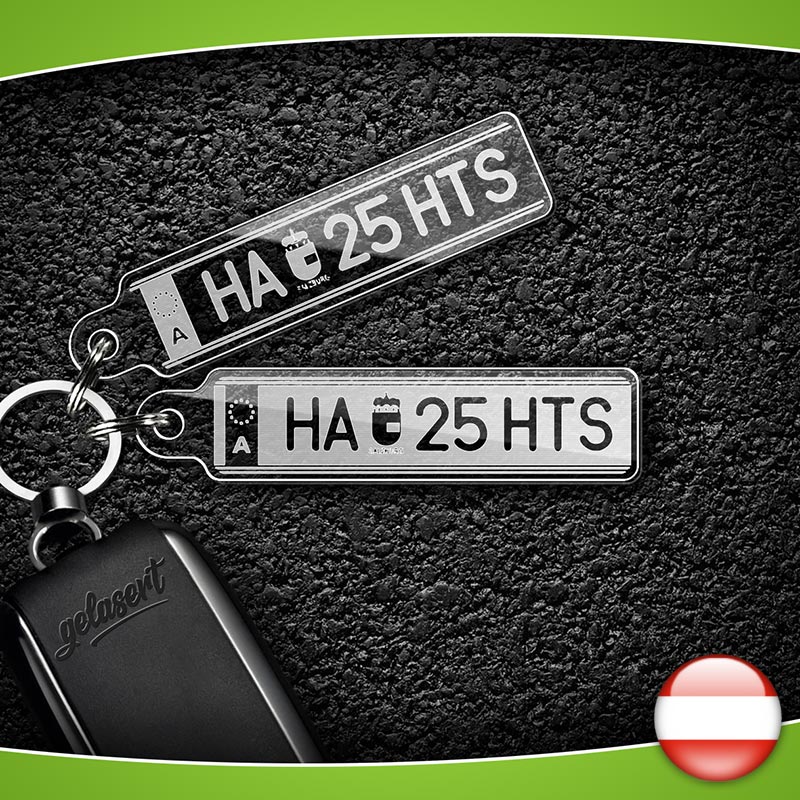 Fahrzeugschein Hülle mit Kennzeichen – Kennzeichen Schlüsselanhänger